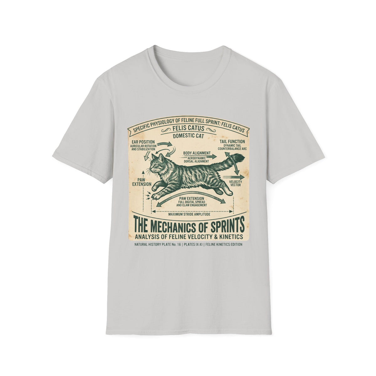 Cat Sprint Anatomy T-Shirt — Felis Catus Vintage Scientific Illustration Tee