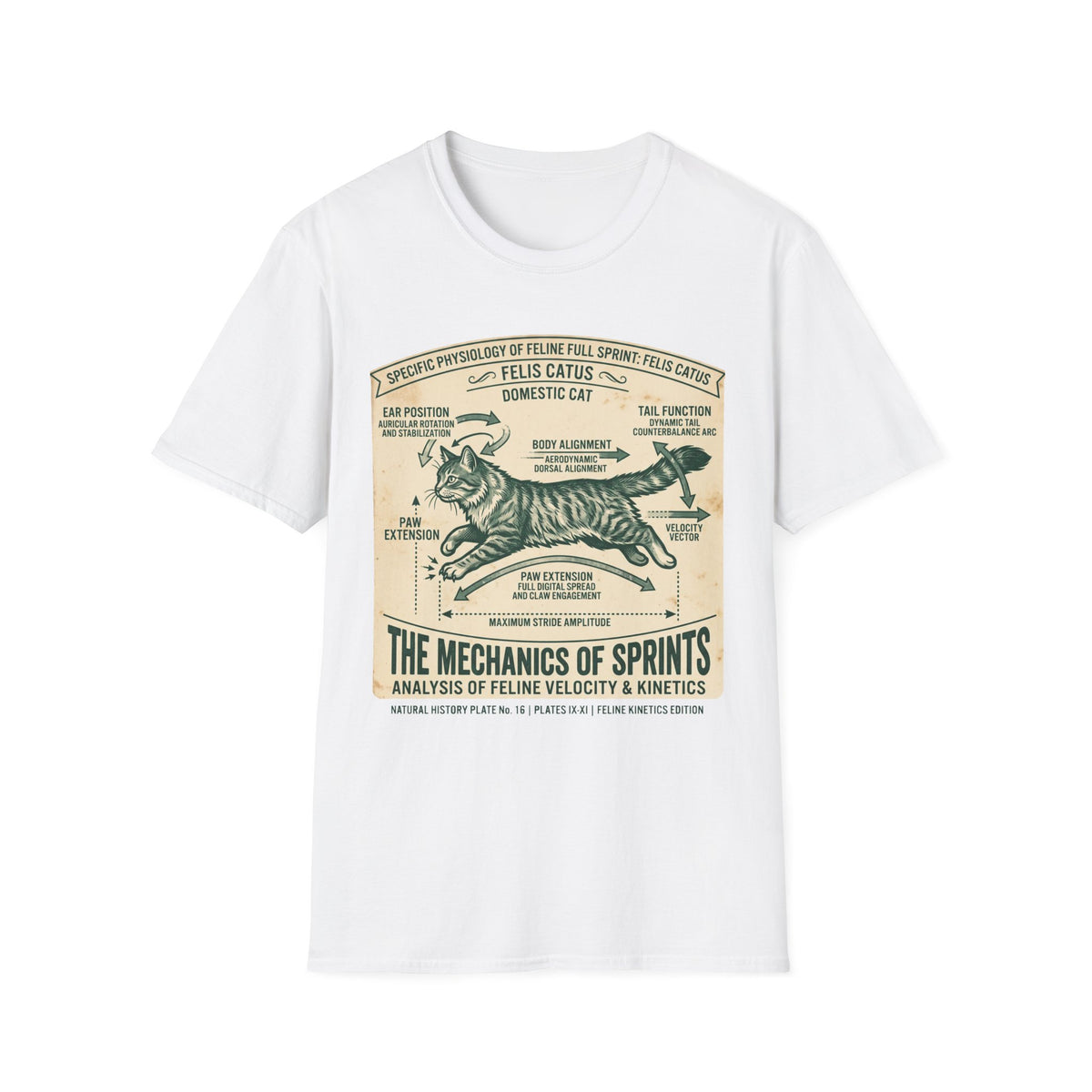 Cat Sprint Anatomy T-Shirt — Felis Catus Vintage Scientific Illustration Tee