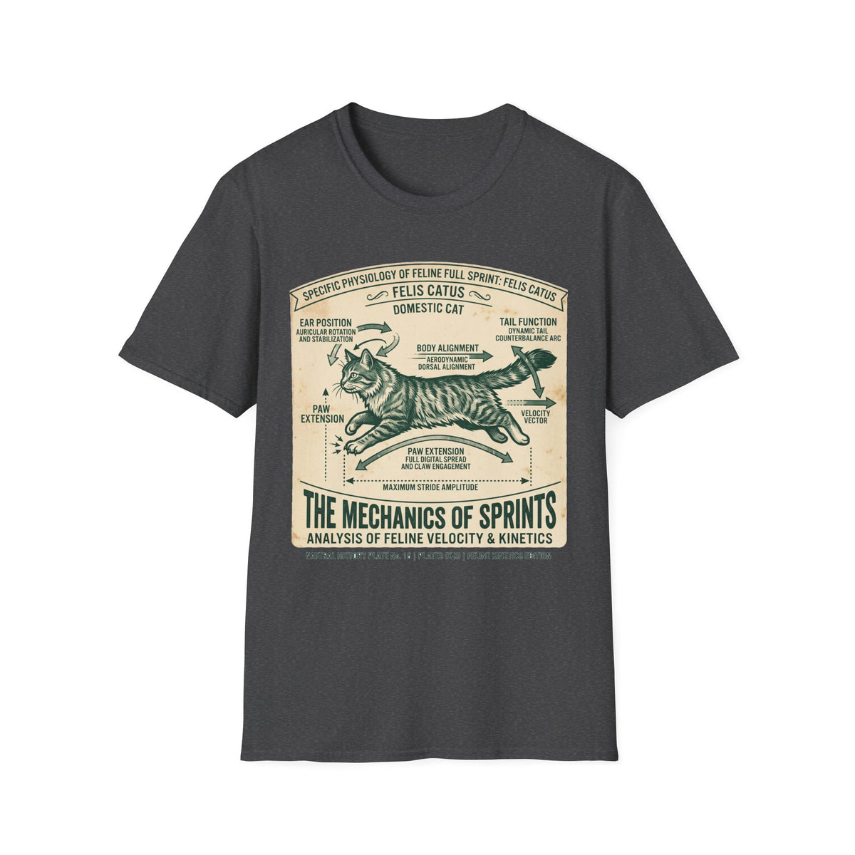 Cat Sprint Anatomy T-Shirt — Felis Catus Vintage Scientific Illustration Tee