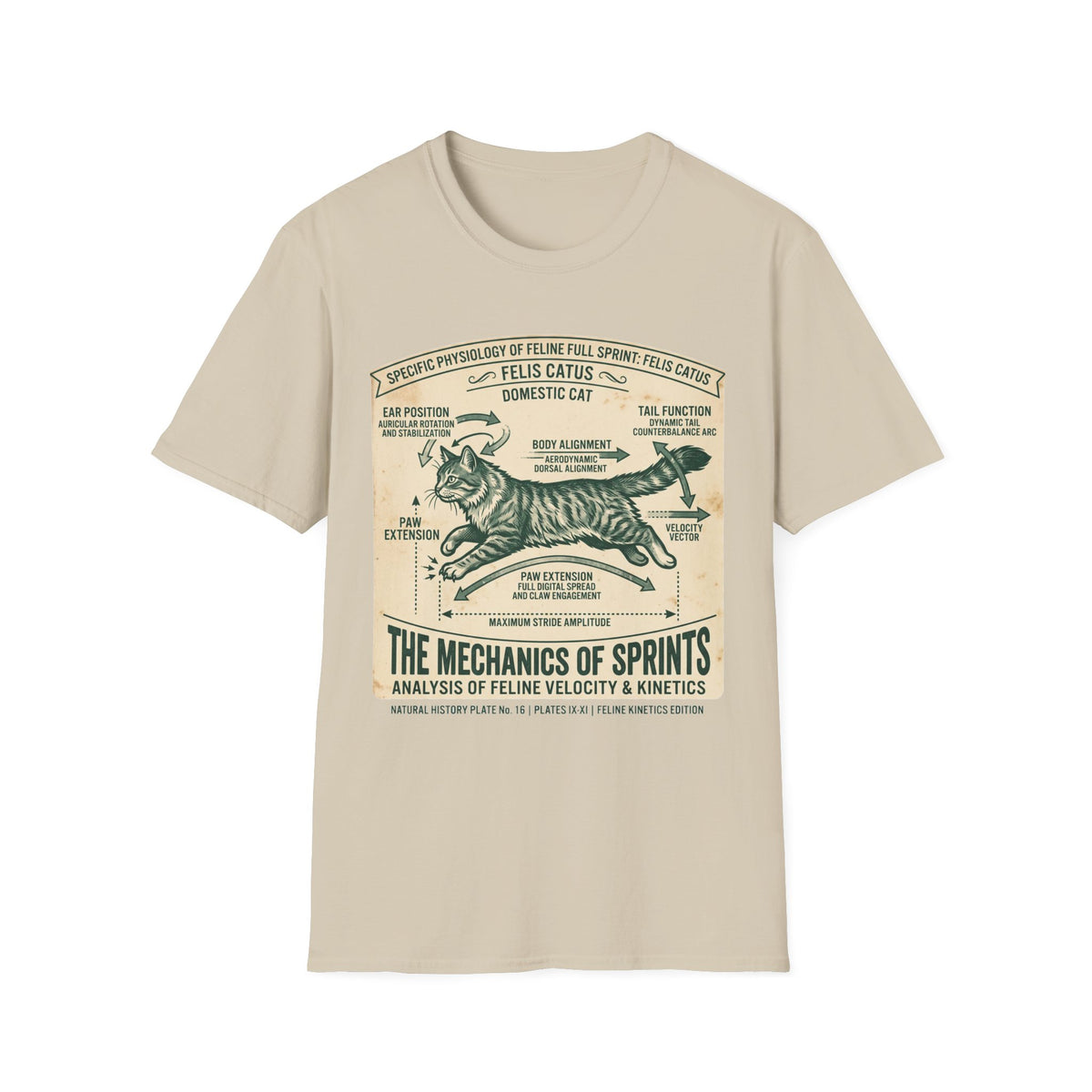 Cat Sprint Anatomy T-Shirt — Felis Catus Vintage Scientific Illustration Tee