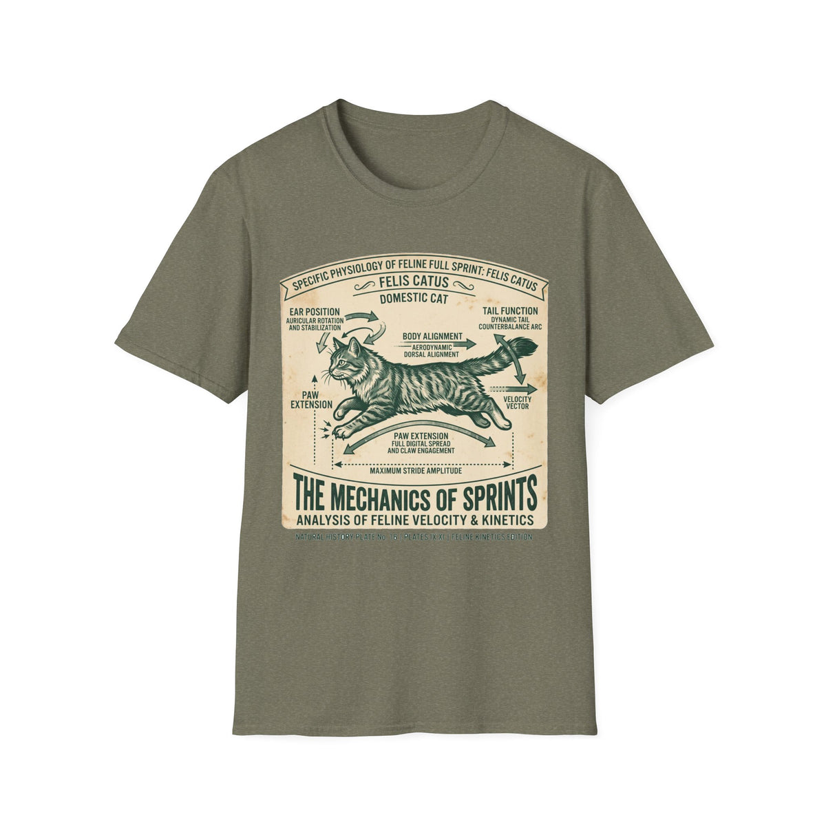 Cat Sprint Anatomy T-Shirt — Felis Catus Vintage Scientific Illustration Tee