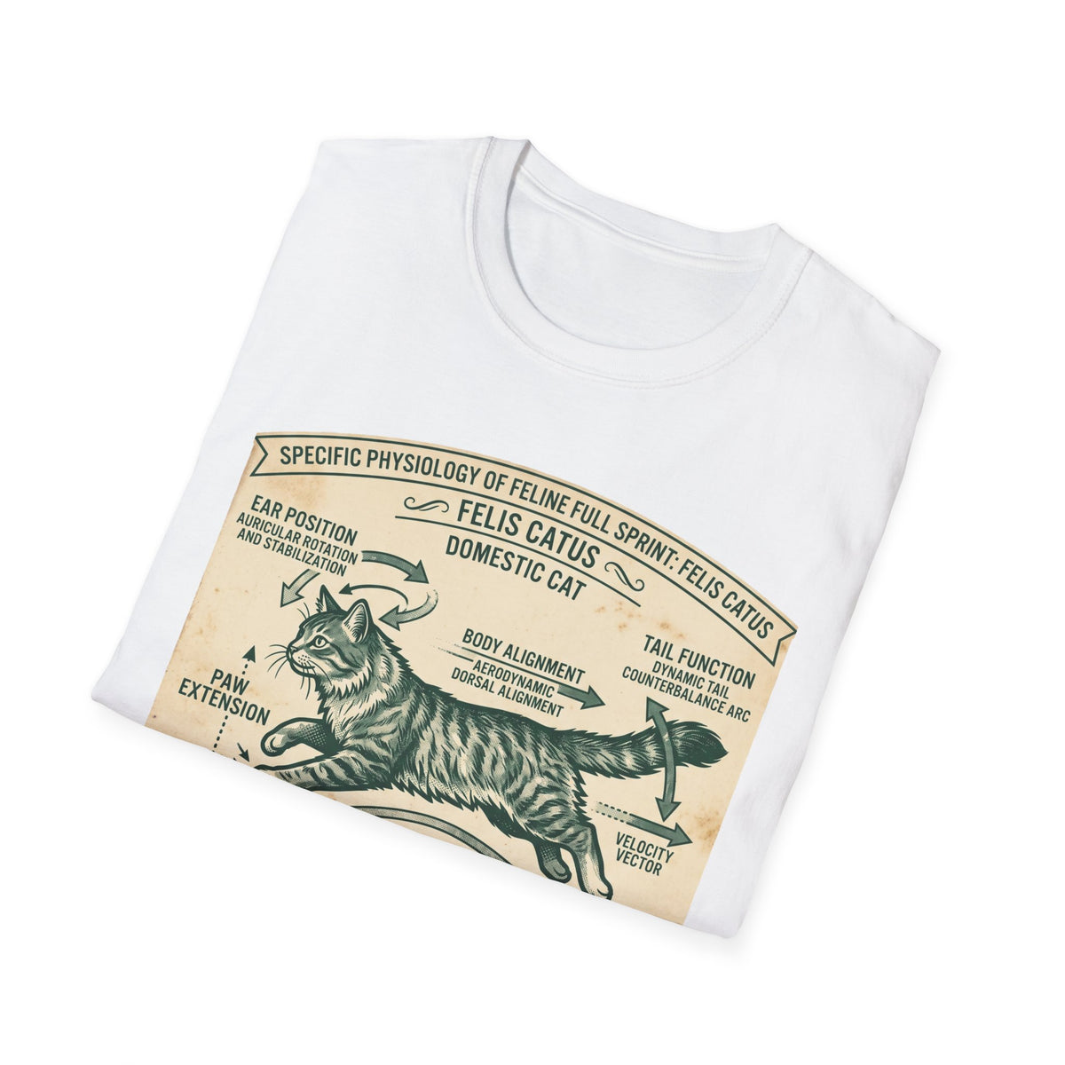 Cat Sprint Anatomy T-Shirt — Felis Catus Vintage Scientific Illustration Tee