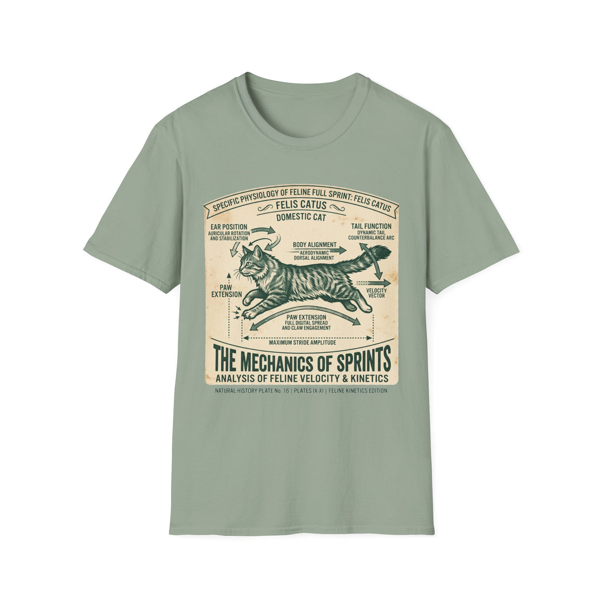 Cat Sprint Anatomy T-Shirt — Felis Catus Vintage Scientific Illustration Tee