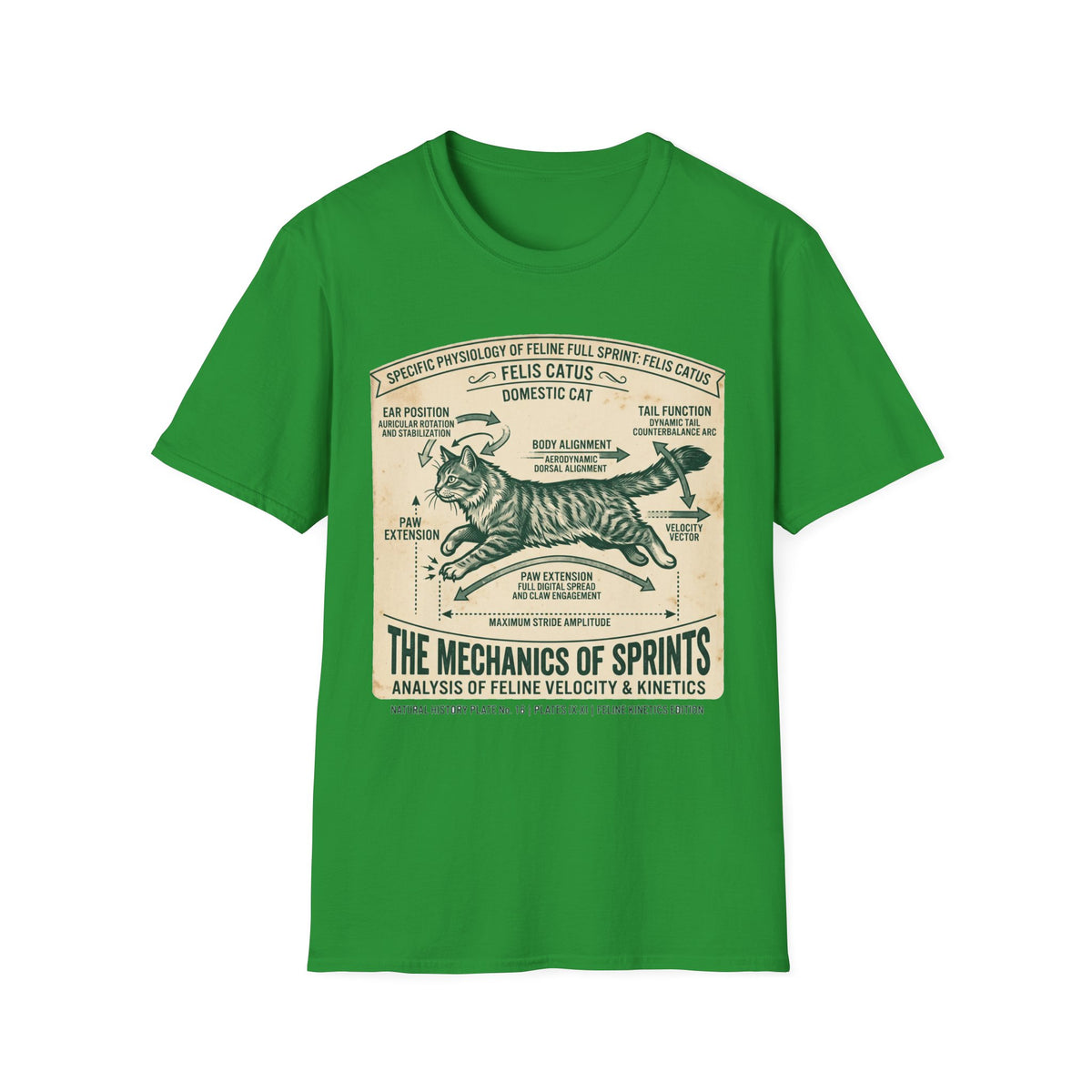 Cat Sprint Anatomy T-Shirt — Felis Catus Vintage Scientific Illustration Tee